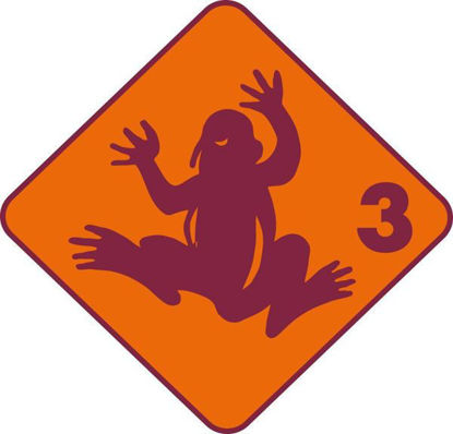 Image de Cours pour enfants grenouille