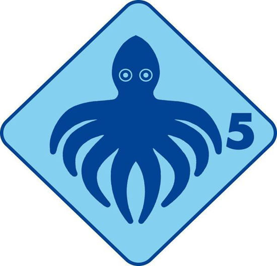 Bild von Kinderkurs Tintenfisch