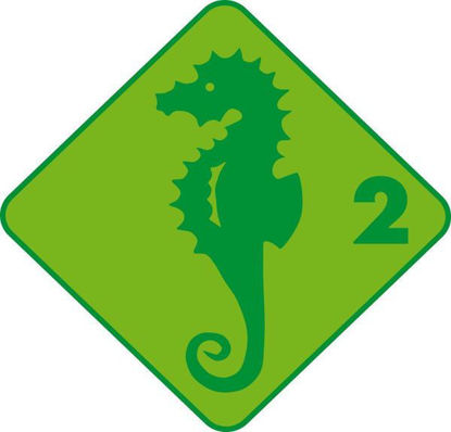 Image de Cours pour enfants hippocampe