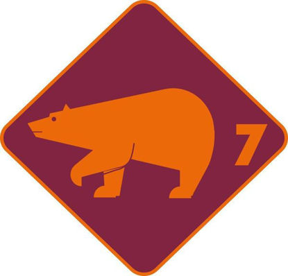 Bild von Kinderkurs Eisbär